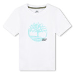 TEE-SHIRT MANCHES COURTES