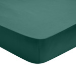 Drap Housse Influence Percale Forêt