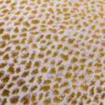 Yves Delorme - Housse de coussin en velours beige, Zénaïde