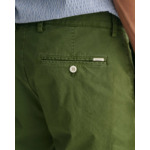 Regular Fit Sunfaded Shorts
