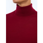 Pull fin à col roulé en laine mérinos