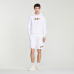 Sweatshirt à capuche à Wild Animals