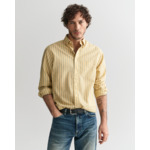 Regular Fit Striped Archive Poplin
