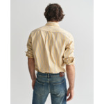 Regular Fit Striped Archive Oxford