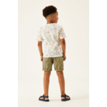 Boys Shorts Green