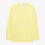 Sweat col rond Sam yuzu