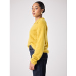 Roxane a brossé un pull en cachemire MIEL