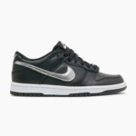 Nike Dunk Low NBA 75th Anniversary Spurs