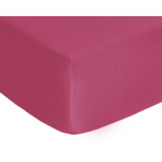 DRAP HOUSSE | Vexin - Clématite
