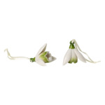 Mini Flower Bells suspension en porcelaine, perce-neige, ensemble de 2 pièces