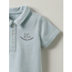 POLO RAYE VERT