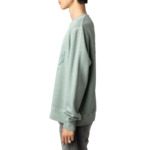 SIMBA MO WORDING DINOSAURE