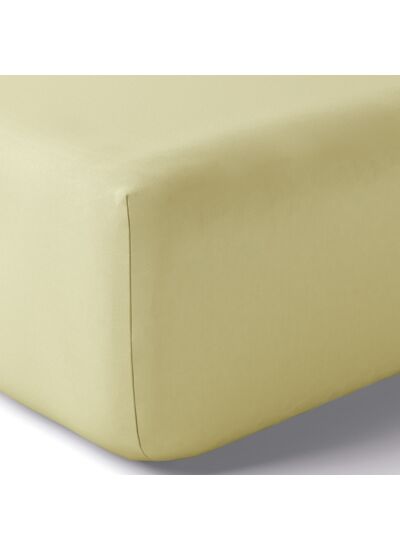 DRAP HOUSSE | Vexin - Regain