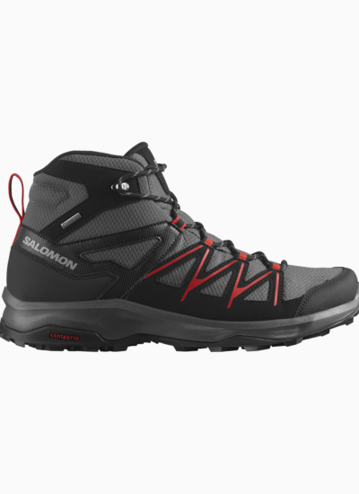 Salomon Daintree mid gtx