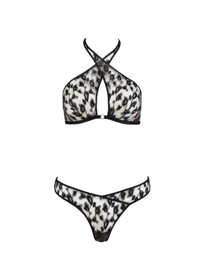 Ensemble Absolutely Wild