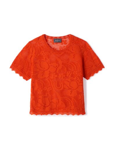 Col rond dentelle - Femme - SOLARO