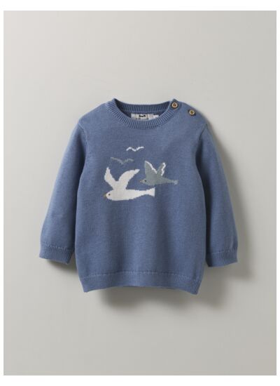 PULL MOUETTES