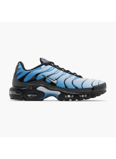 Nike Air Max Plus Blue Gradient