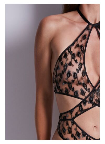 Body Absolutely Wild