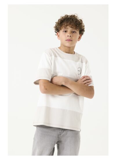 Boys T-shirt Grey