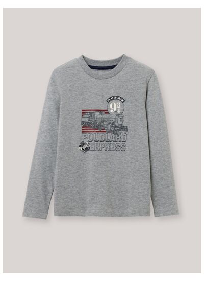 T-SHIRT  HP