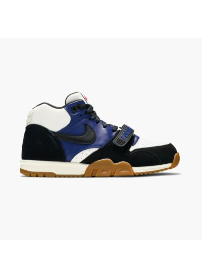 Nike Air Trainer SB 1 Polar Skate Co