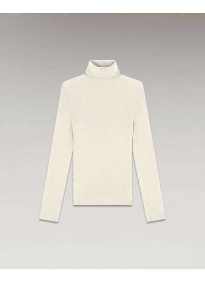 Pull Basique Col Roulé