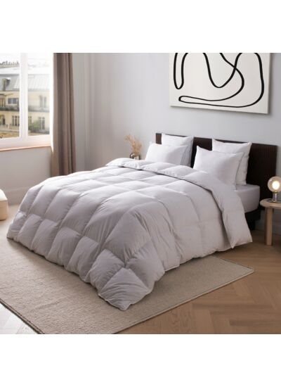 COUETTE | ADONIS Synthétique - Tempérée