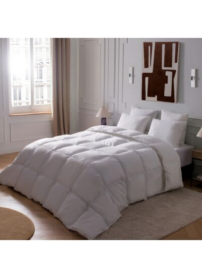 COUETTE | SERAPIA Synthétique - Légère