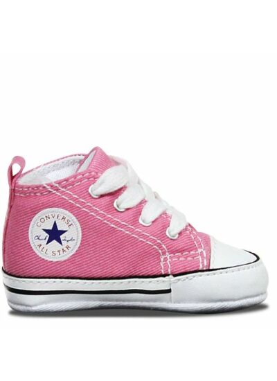 First Star Hi rose