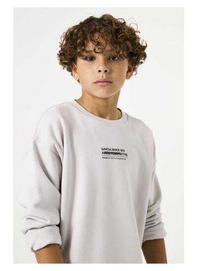 Boys Sweater Gray