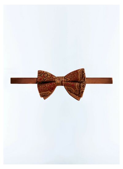 Nœud papillon en velours et soie