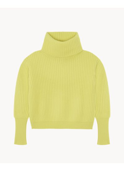 Pull Evelyne L Pull Cachemire Femme Col Roulé
