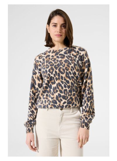 Women Sweater Brown