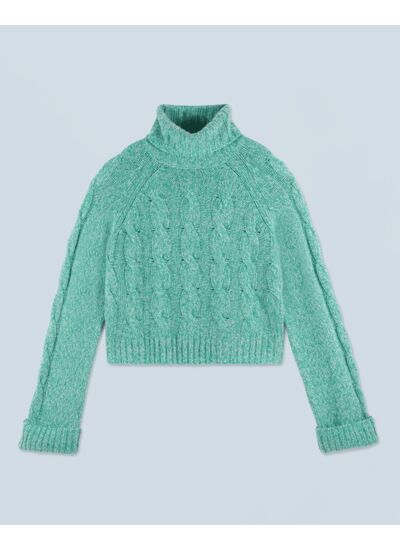Pull Col Roulé