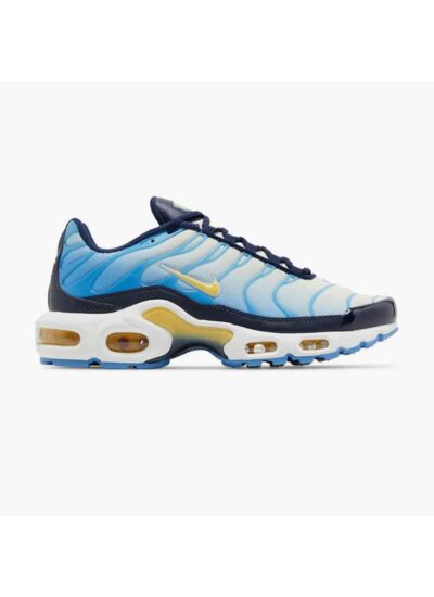 Nike Air Max Plus University Blue Topaz Gold