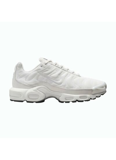 Nike Air Max Plus Platinum Tint