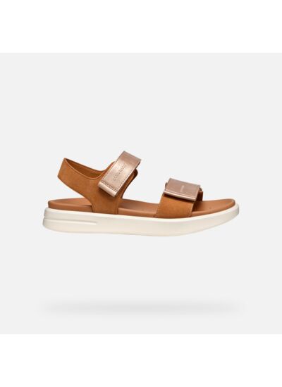 D XAND 2S