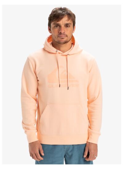 COMP LOGO HOODIE