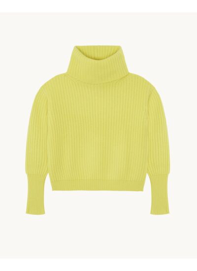 Pull Evelyne L Pull Cachemire Femme Col Roulé