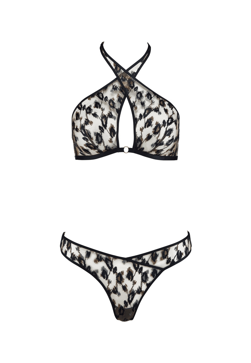 Ensemble Absolutely Wild