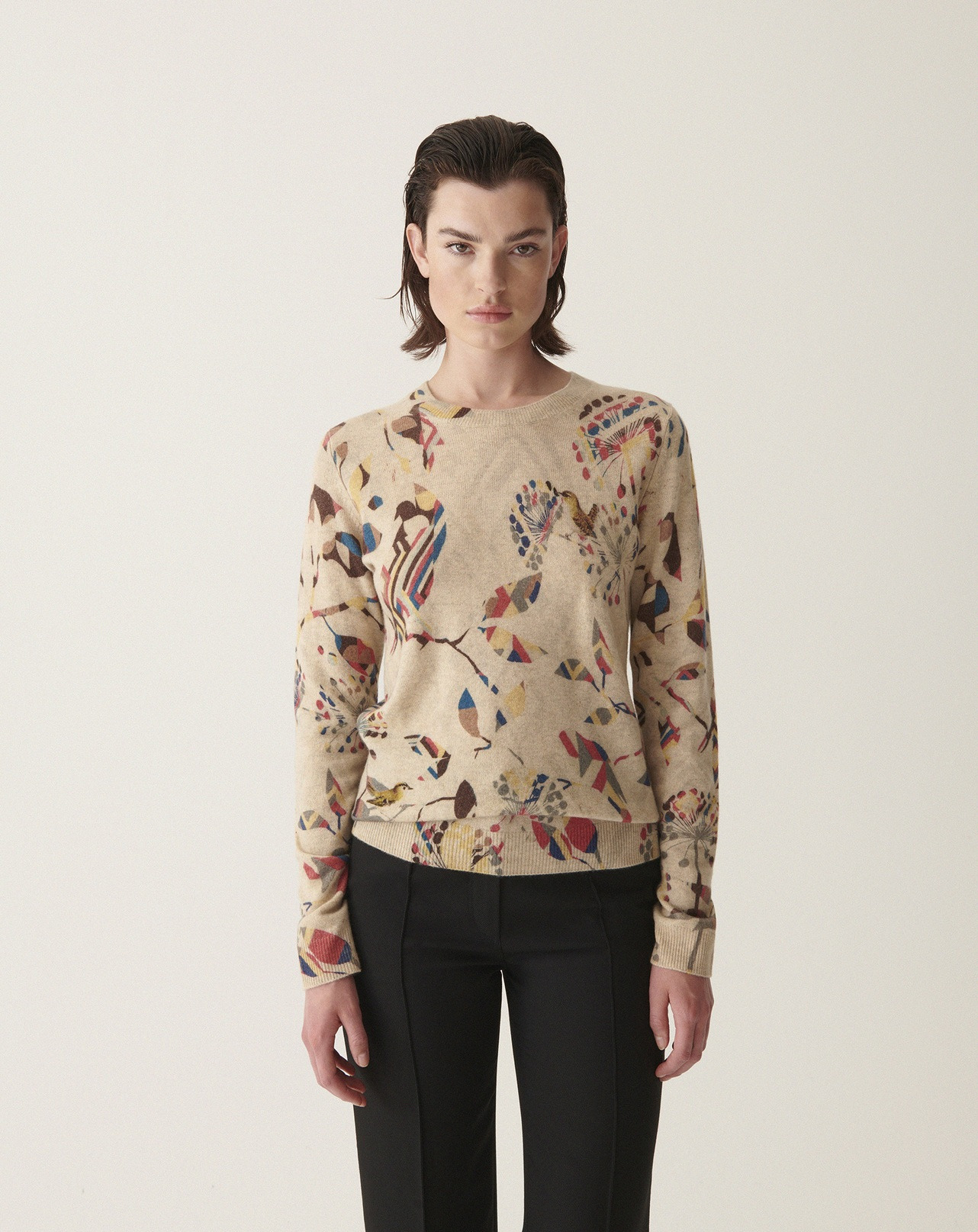 Pull col rond imprimé oiseaux - Femme - AVOINE