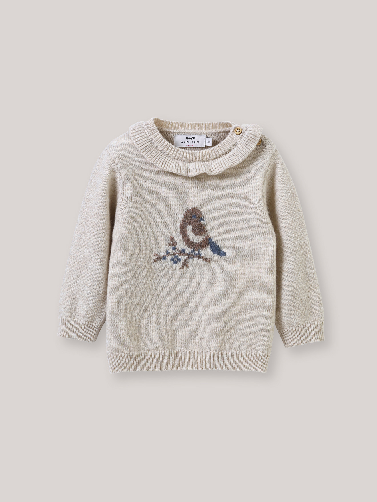 PULL OISEAU