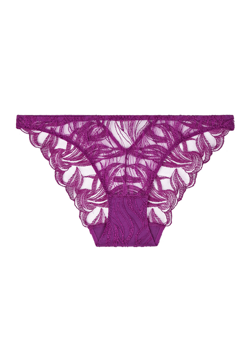 Culotte Italienne Into The Groove