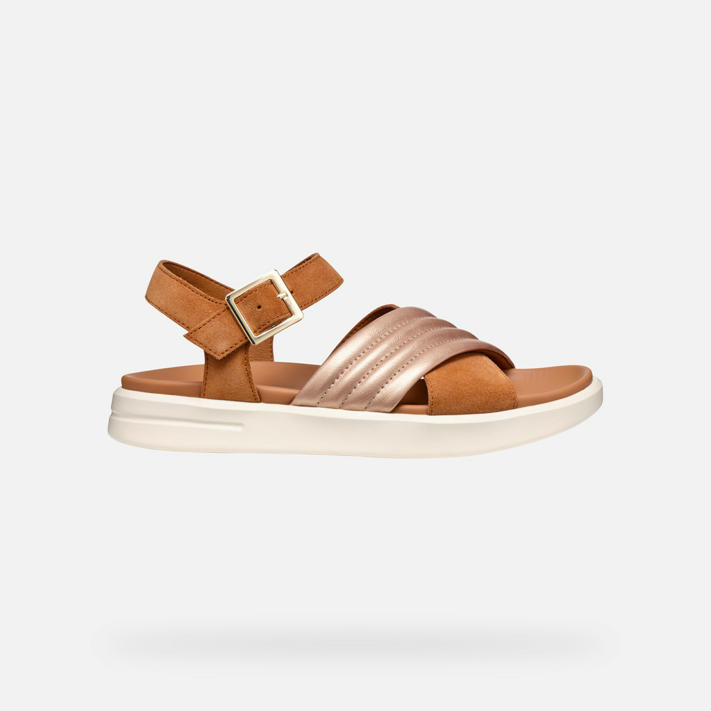 D XAND 2S