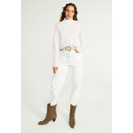 Col roulé 100% cachemire