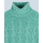 Pull Col Roulé
