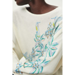 Pull AUSIRIS