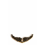 SWING YOUR WINGS CHARMS STRASS