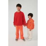 Sweat enfant Izubird